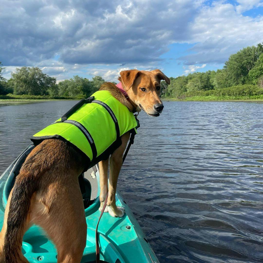 Dog & Kayaking
