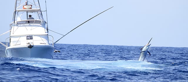 Offshore Angling Adventures: Dive Deep into the Blue