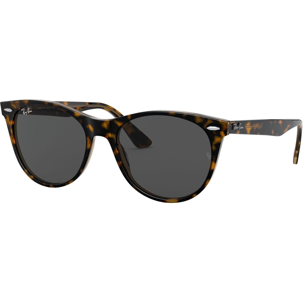 Wayfarer II Sunglasses