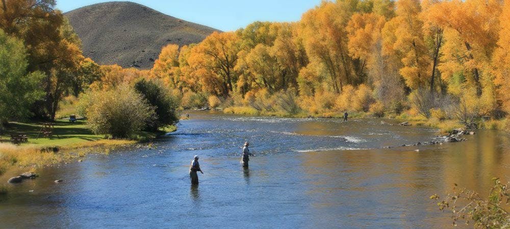 Colorado River, Colorado fishing