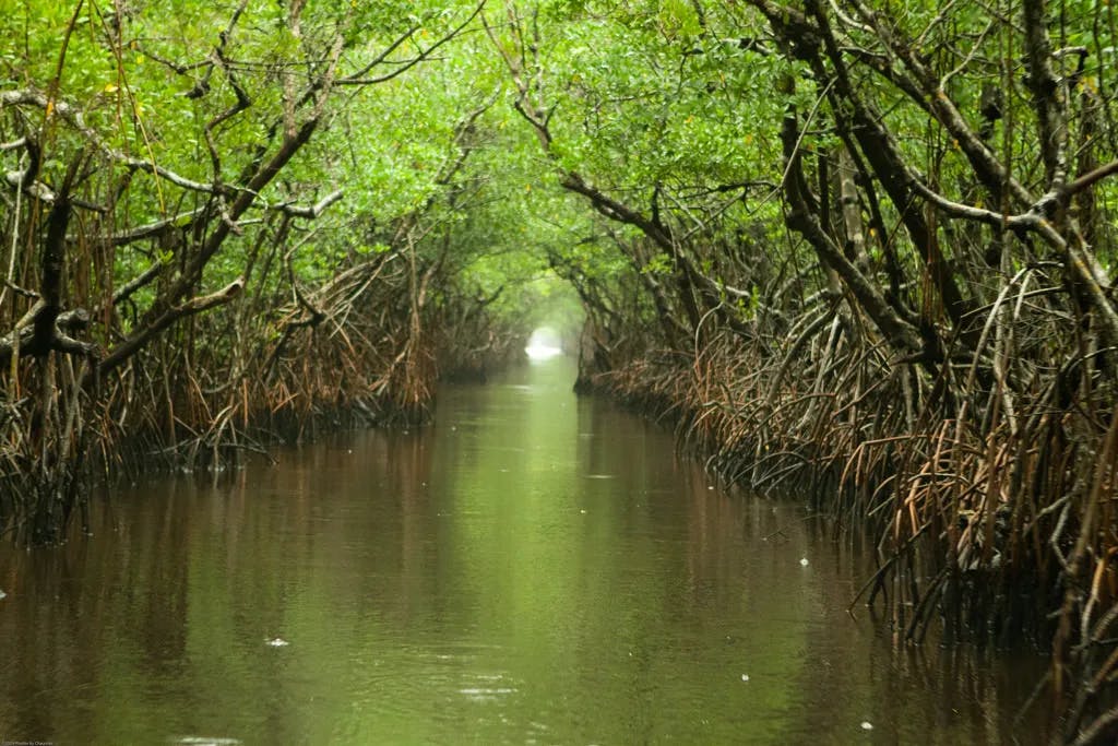 Everglades water way on a rainy