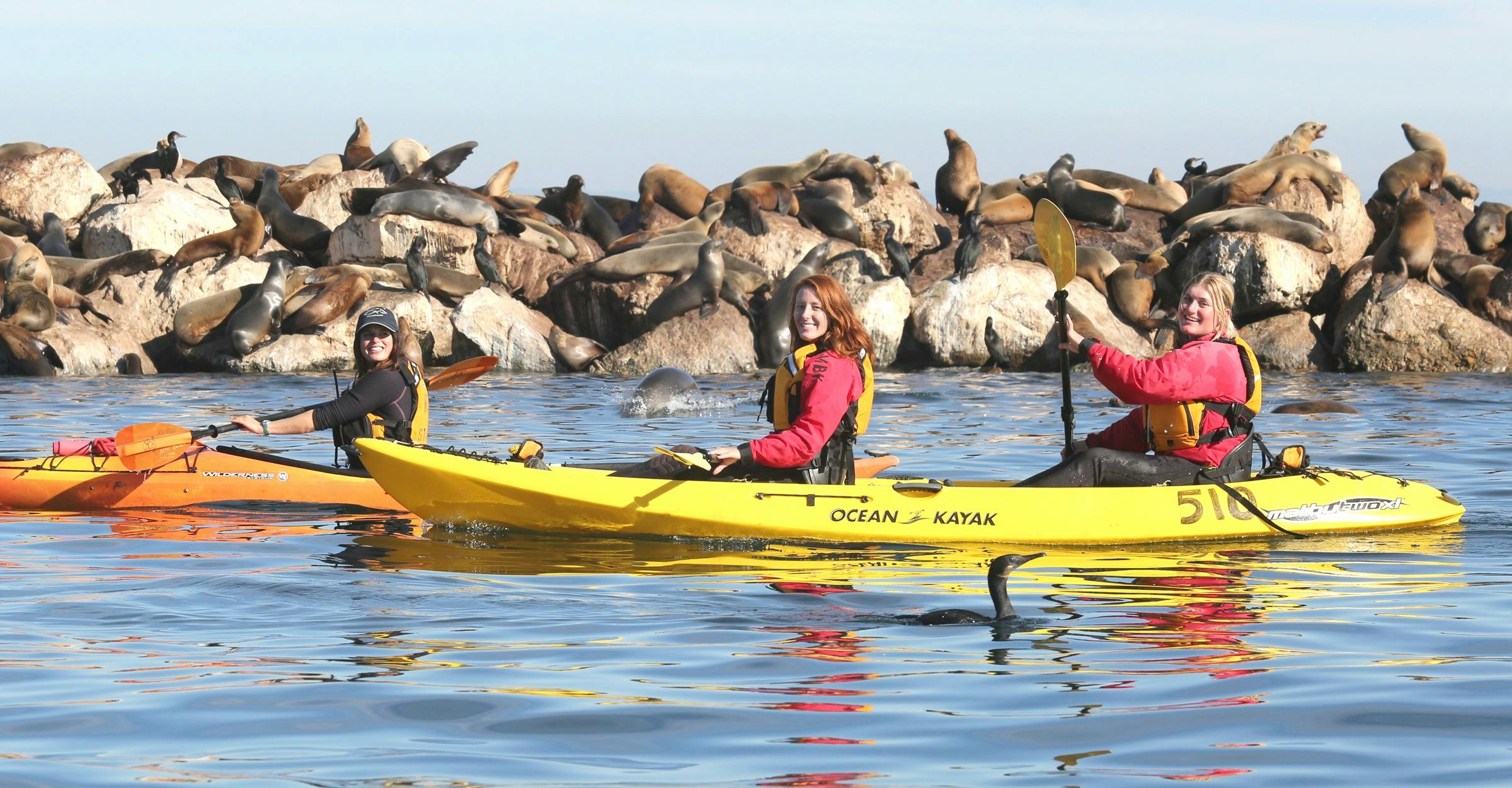 Kayaking: Monterey Bay, Things to Know Before You Go