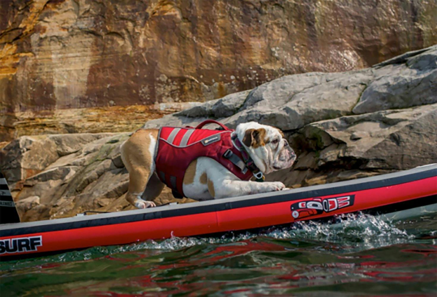 Paws Aboard Dog Life Jacket kayaking