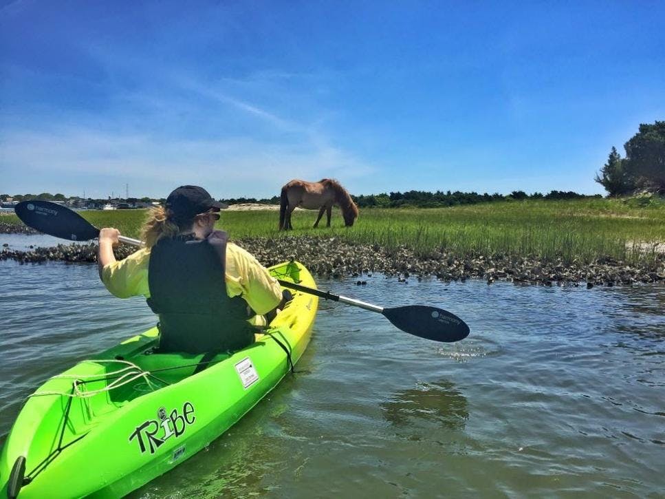 Rachel Carson Reserve – Beaufort Kayaking