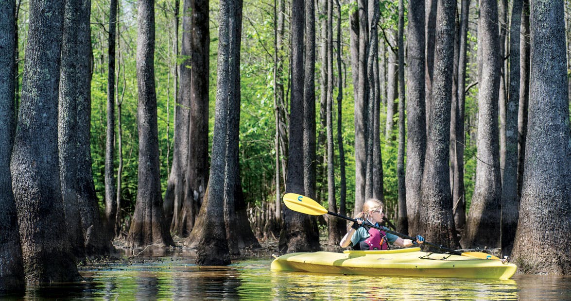 Roanoke – Williamston/Jamesville Kayaking
